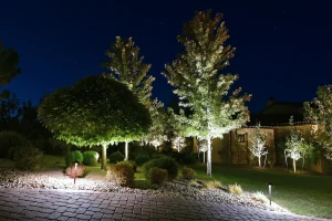 نمونه نورپردازی درختی 3